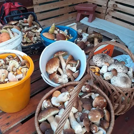 Nad Jeziorem/seehaus 1b Lodge