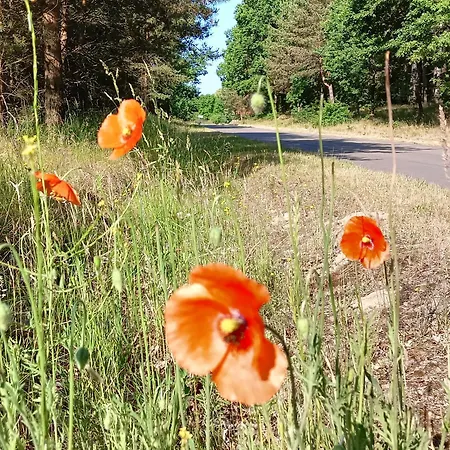 Nad Jeziorem/seehaus 1b Hytte