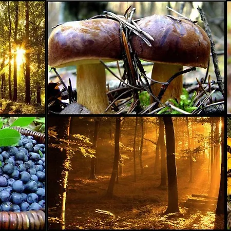 Nad Jeziorem/seehaus 1b *