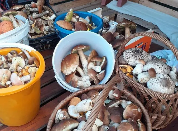 Nad Jeziorem/seehaus 1b Деревянный коттедж