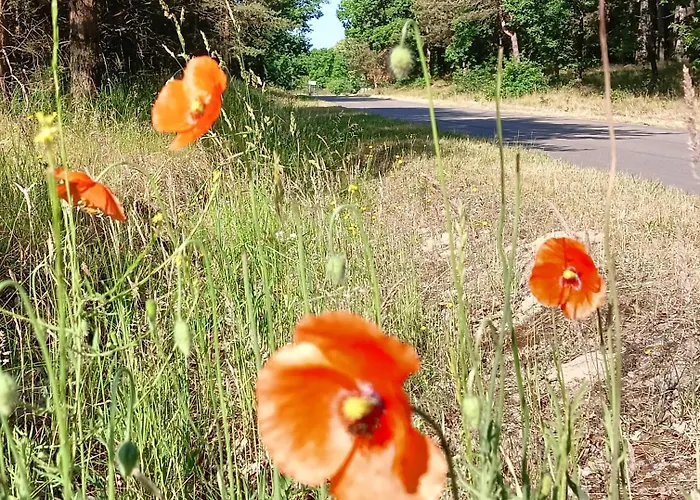 Nad Jeziorem/seehaus 1b Деревянный коттедж