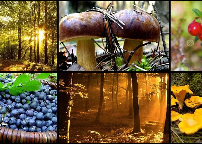 Nad Jeziorem/seehaus 1b *